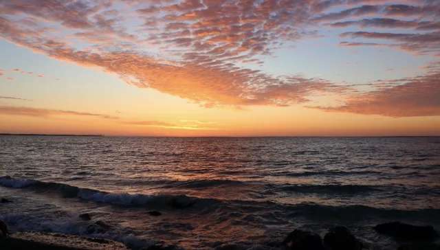 New England recommendations